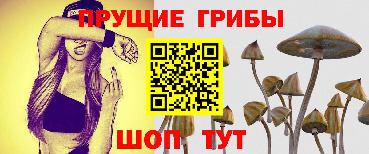 МАРИХУАНА Дербент