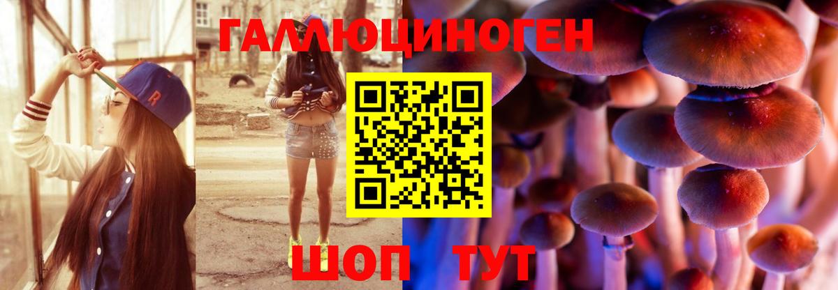 цены наркотик  Вход с VPN  Псилоцибиновые грибы MAGIC MUSHROOMS  Дербент  Галлюциногенные грибы ЛСД 